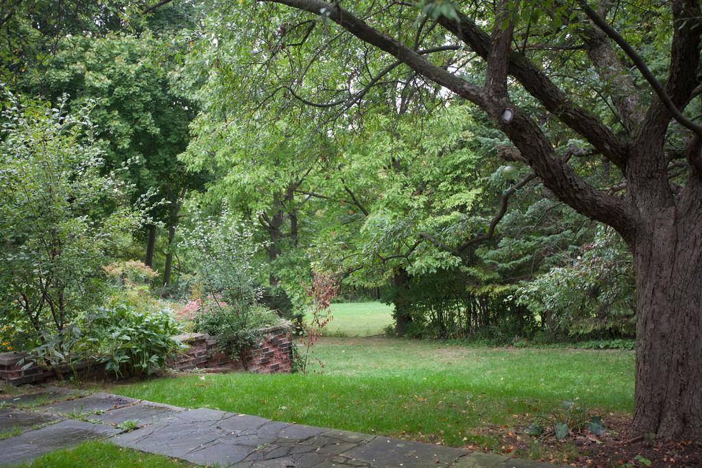 多伦多邓肯公园民宿 Toronto Duncan Park Guesthouse Exterior foto
